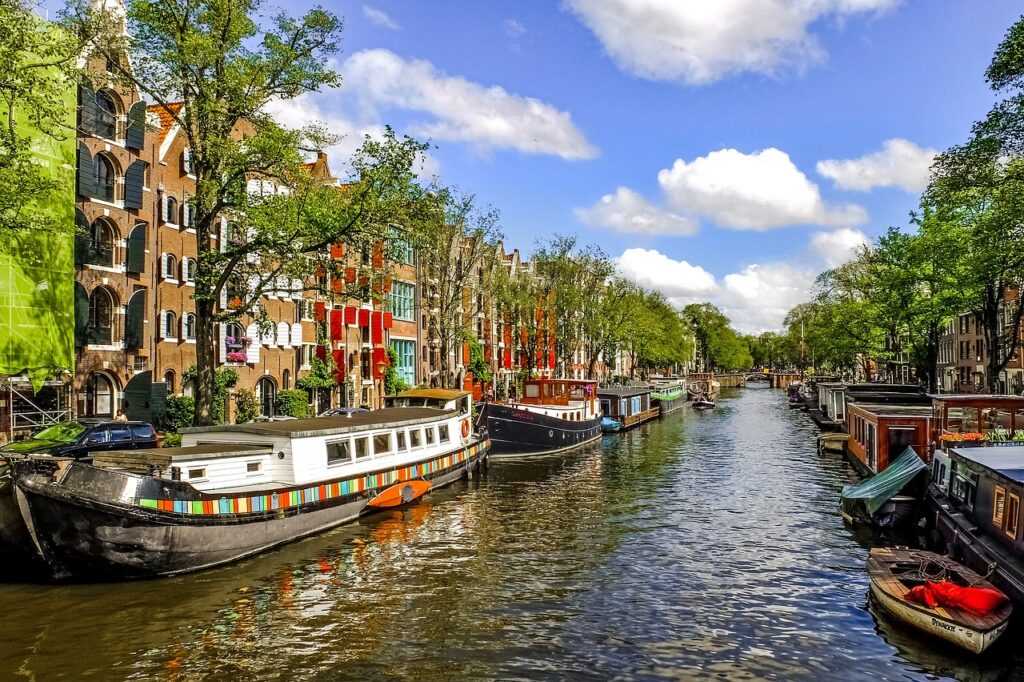 De Pijp The Insider's Guide to Amsterdam's Quintessential Neighborhood